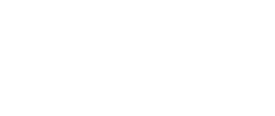 lenx white logo