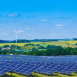 How Vietnamese Businesses Can Cut Carbon Footprint & Save Costs