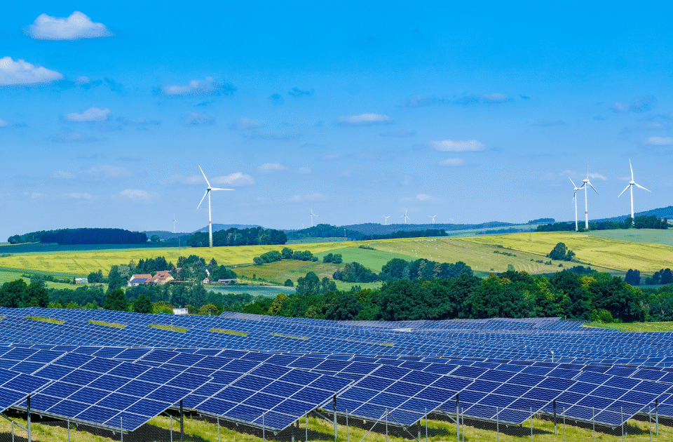 How Vietnamese Businesses Can Cut Carbon Footprint & Save Costs